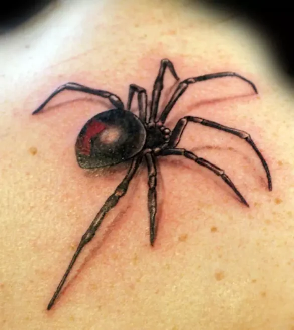 Best-Spider-Tattoo-Designs