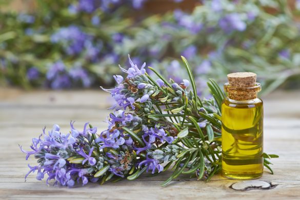 Rosemary Oil For Hair Growth